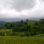 Desa Wisata Jatiluwih di Desa Penebel Kabupaten Tabanan, sebagai desa wisata dengan panorama sawah berundak - foto: Koranjuri.com