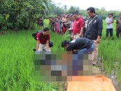 Kondisi mayat yang ditemukan di sawah Desa Sawangan, Alian, Kebumen – foto: Sujono/Koranjuri.com