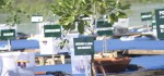 Wagub Sudikerta Buka Konferensi Mangrove Dunia di Sanur
