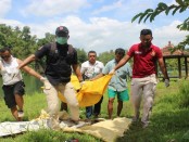 Proses evakuasi mayat penuh luka di Poncowarno, Kebumen - foto: Sujono/Koranjuri.com