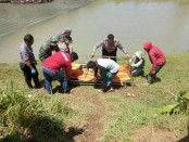 Proses evakuasi korban Dedi, yang tewas disambar KA Fajar Utama, Sabtu (10/2) pagi, di rel kereta api km 465,8 Desa Tersobo, Kecamatan  Prembun, Kebumen - foto: Sujono/Koranjuri.com