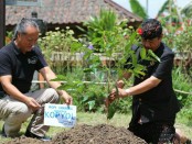 Cawagub Bali nomer urut 1, Cok Ace bertemu dengan produsen kopi di Desa Adat Mengani, Kintamani - foto: Istimewa