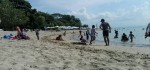 Lancong di Pantai Karang, Pilihan Wisata Pantai Keluarga
