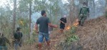 Wilayah Hutan Gunung Batur Terbakar