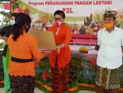 Ketua TP PKK Bali Putri Suastini Koster menghadiri penyerahan bantuan stimulus kepada Kelompok Wanita Tani (KWT) program Pekarangan Pangan Lestari (P2L) se-Bali, di Kantor Dinas Pertanian dan Ketahanan Pangan Provinsi Bali, Kamis (6/8/2020) - foto: Istimewa