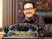 Wakil Gubernur Bali Tjokorda Oka Artha Ardhana Sukawati - foto: Istimewa