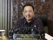 Wakil Gubernur Bali Tjokorda Oka Artha Ardhana - foto: Istimewa
