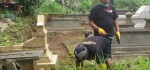 Ini Dia,  Relawan Bersih Bersih Kuburan Yang  Siap Tebang Pohon Angker