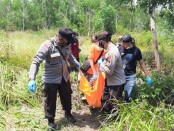 Proses evakuasi korban, yang ditemukan sudah tak bernyawa di perbukitan Sinalang, 
Desa Kaligesing, Kecamatan Kutoarjo, Purworejo, Jateng, Sabtu (18/09/2021) - foto: Sujono/Koranjuri.com