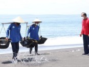 Gubernur Bali Wayan Koster meninjau proses produksi petambak garam di Bali - foto: Istimewa