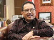 Wakil Gubernur Bali Cokorda Oka Artha Ardhana Sukawati - foto: Istimewa