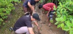 Kolaborasi KKP-IOH Wujudkan Destinasi Wisata Mangrove di Perancak Jembrana