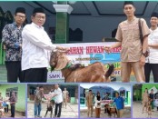 Penyaluran kambing kurban dari SMK Batik Purworejo ke sejumlah tempat, Rabu (28/06/2023) - foto: Koranjuri.com