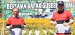 Hentikan Impor, Bali Mandiri Produksi Bunga Gemitir Varietas 5 Warna
