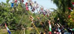 Festival Panjat Pinang, Jadi Ikon Wisata Tahunan Desa Aglik di Purworejo