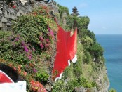 Bendera merah putih sepanjang 71 meter terbentang di tebing karang Pura Uluwatu - foto: Suyanto/Koranjuri.com