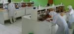 SMK Kesehatan Purworejo Tuan Rumah LKS Farmasi 2017 Tingkat Kabupaten