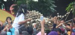 Gunungan Sekaten Tandai Berakhirnya Perayaan Tradisi Sekaten Di Keraton Solo