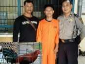 Pelaku pencurian ayam diamankan Polsek Denpasar Barat - foto: Istimewa