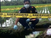 Tim Identifikasi dan Polsek Mengwi, Polres Badung, melakukan Olah TKP di lokasi penemuan orok - foto: Istimewa