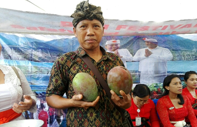 I Wayan Badan, salah satu pelopor pertanian organik di Bali - foto: Koranjuri.com