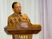 Gubernur Bali I Wayan Koster - foto: Istimewa