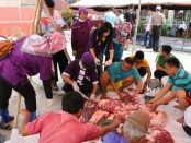 Pengecekan daging qurban oleh Dinas Pertanian dan Pangan Kabupaten Kebumen, Minggu (11/8) - foto: Sujono/Koranjuri.com