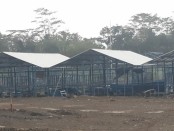 Lokasi tempat pembangunan Tirtanindo Education Farm di Desa Gebang, Kecamatan Gebang, Purworejo - foto: Sujono/Koranjuri.com