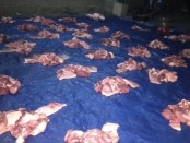 Proses pemotongan babi - foto: Koranjuri.com