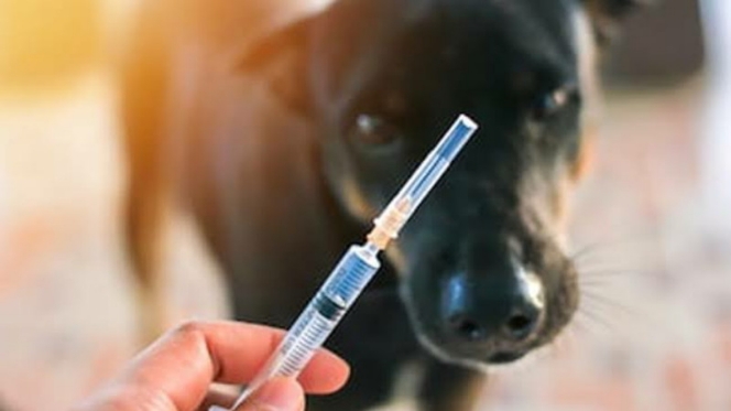 IMG_20200604_124436026