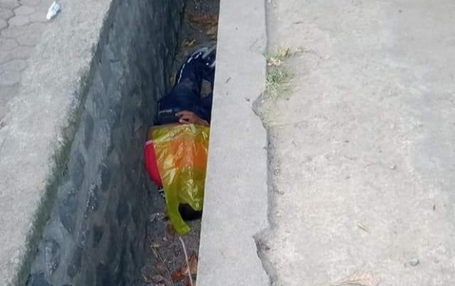 IMG_20200703_145631748