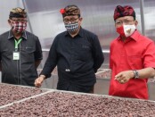 Gubernur Bali Wayan Koster didampingi Wagub Tjokorda Oka Artha Ardhana Sukawati melepas ekspor Kakao Fermentasi di Desa Poh Santen, Jembrana, Kamis, 20 Agustus 2020 - foto: Istimewa