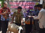 Wakil Bupati Purworejo Yuli Hastuti, menyerahkan bantuan kambing untuk Gabungan Kelompk Tani 'Dadi Makmur' Desa Jogoresan, Purwodadi, Jum'at (11/09/2020) - foto: Sujono/Koranjuri.com