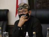 Wakil Gubernur Bali Tjokorda Oka Artha Ardhana Sukawati - foto: Istimewa