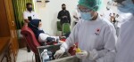 Donor Plasma BUMN dan Angka Covid-19 di Bali