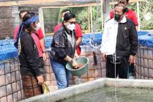 IMG_20210502_221828450