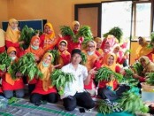 Kelompok Wanita Tani (KWT) Anggrek Asri, Perumahan Pepabri, Kelurahan Borokulon, Kecamatan Banyuurip, Kabupaten Purworejo - foto: Sujono/Koranjuri.com
