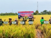 Panen perdana demfarm pengembangan Varietas Unggul padi potensi produksi tinggi dan padi khusus di Desa Pejagran, Kecamatan Ngombol, Purworejo, Kamis (11/11/2021) - foto: Sujono/Koranjuri.com