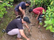 Indosat Ooredoo Hutchison (IOH) menggandeng Kementerian Kelautan dan Perikanan (KKP) RI  meluncurkan program konservasi laut dengan menanam mangrove di Perancak, Kabupaten Jembrana - foto: Istimewa