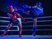 Summer Fights Amateur menghadirkan para petarung dari berbagai daerah di Indonesia dan  menjaring atlet para Pon - foto: Istimewa