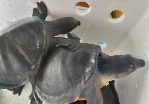 IMG_20230706_172847337